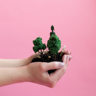 hands holding dirt with mini trees and flowers in it